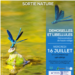 20250716_RNR_libellules_web2.png