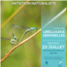 20250723_PIB_corcoue_libellules_web.png