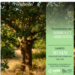 20260530_arbres_arbustes_web