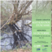 20261014_chantier_mare_web.png